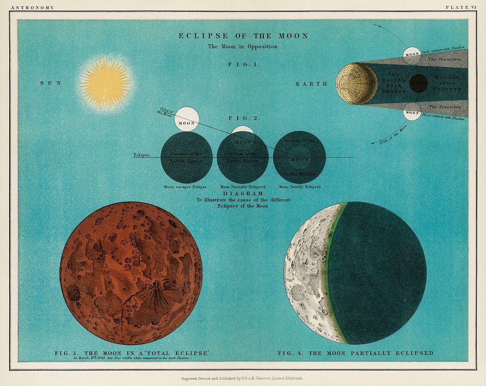 An astronomy lithograph the Eclipse of the Moon printed in 1908, an antique celestial chart of phases of the moon in the…