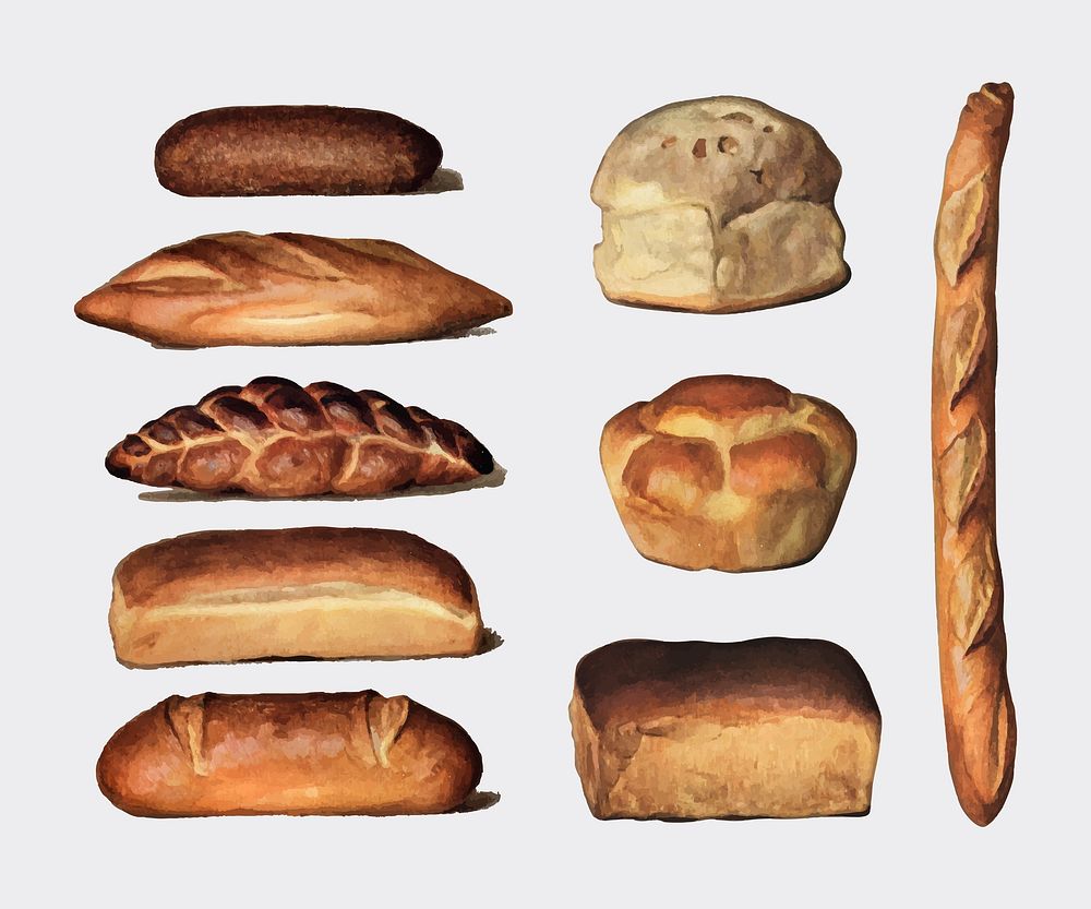 , a vintage collection of various types of baked bread loaves. Digitally enhanced by rawpixel.