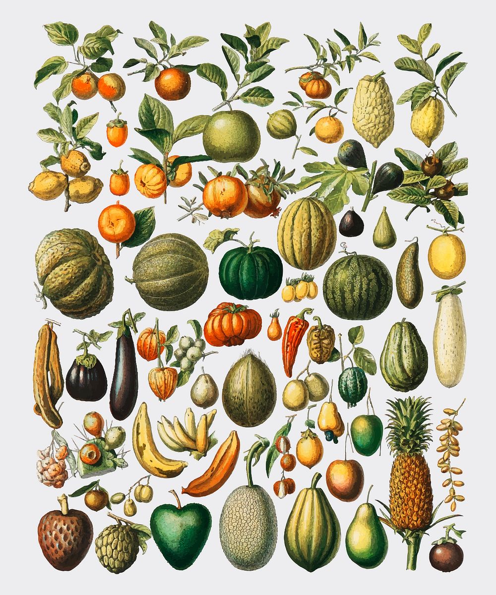 A vintage illustration of a wide variety of fruits and vegetables from the book, Nouveau Larousse Illustre (1898), by…