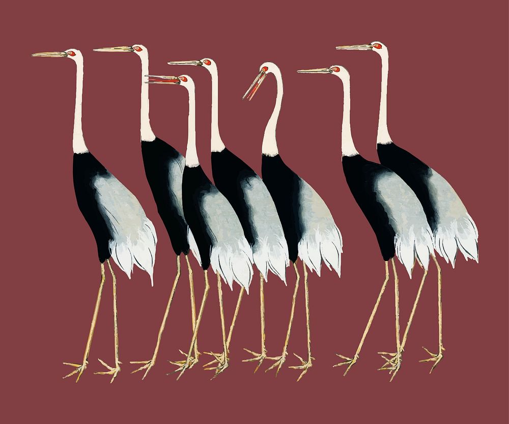 A traditional portrait of a flock of beautiful Japanese red crown crane by Ogata Korin (1658-1716). Digitally enhanced by…