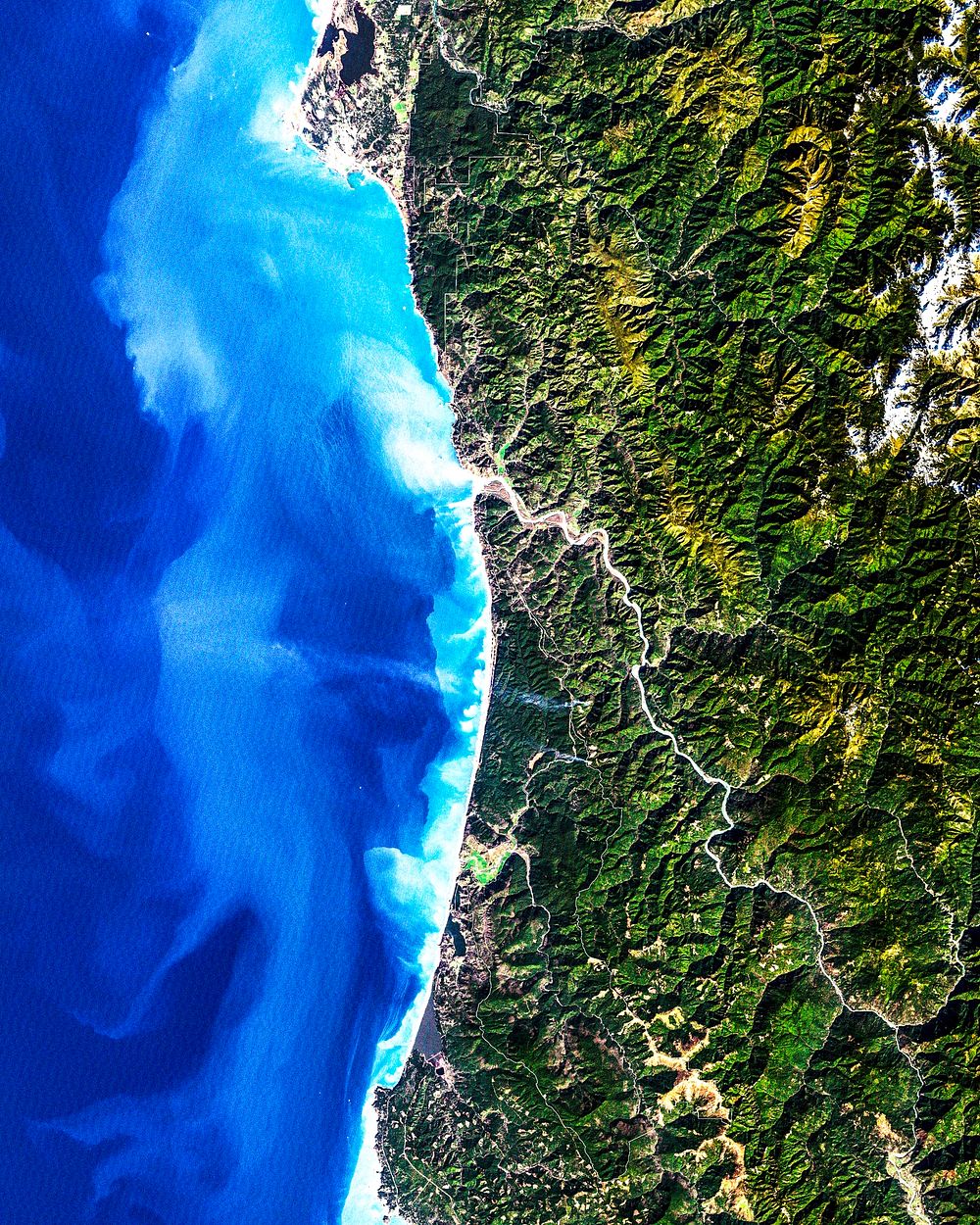 Redwood National Park. Original from NASA. Digitally enhanced by rawpixel.
