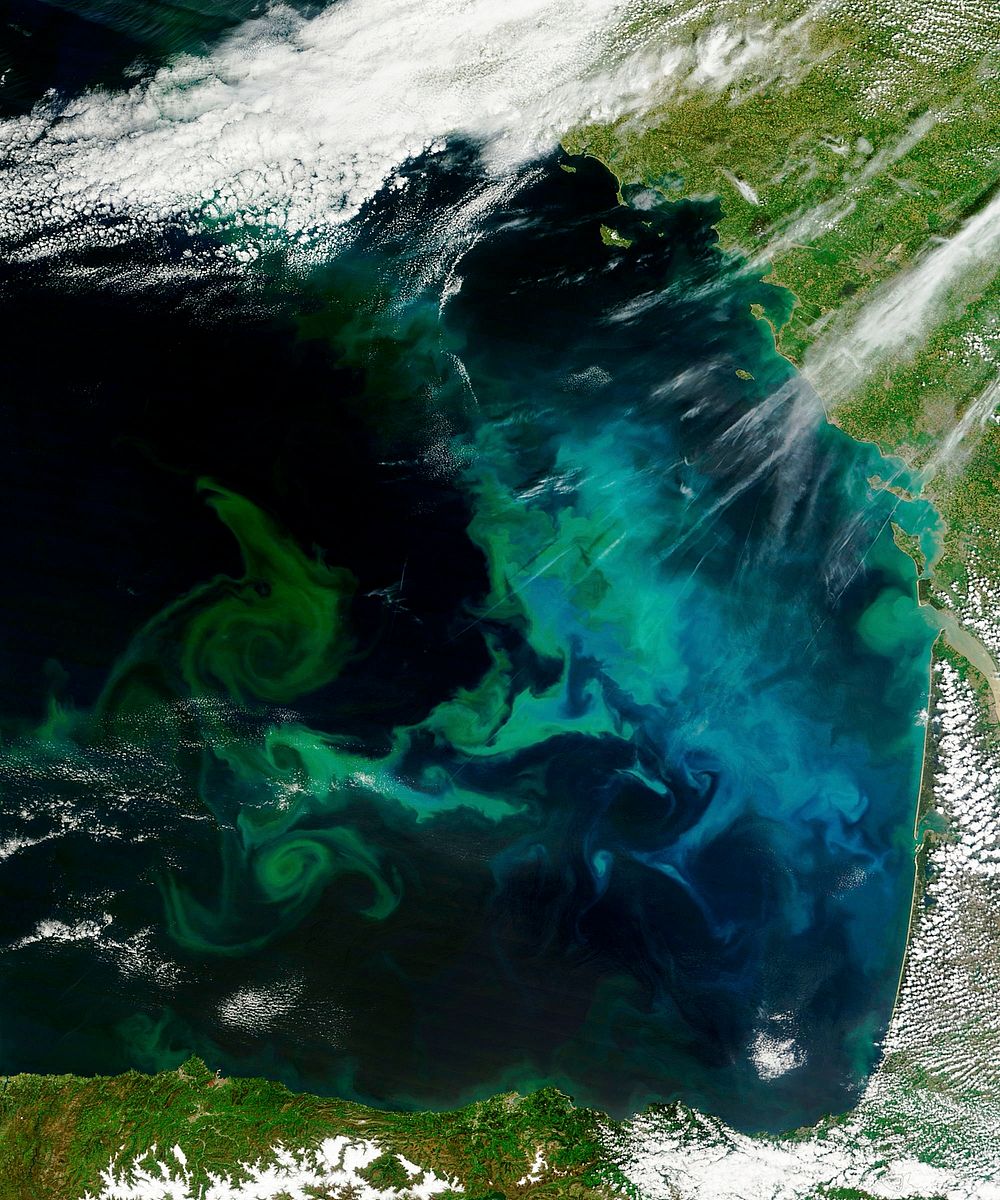 Phytoplankton bloom in the Bay of Biscay. Original from NASA. Digitally enhanced by rawpixel.