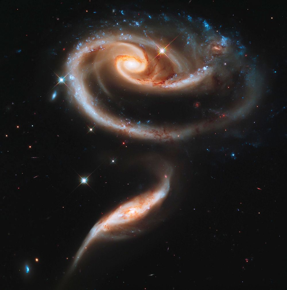 NASA's Hubble Celebrates 21st Anniversary with "Rose" of Galaxies. Original from NASA. Digitally enhanced by rawpixel.