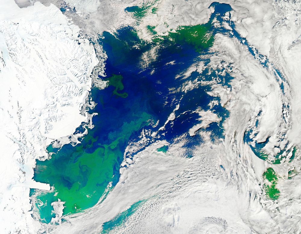 Every southern spring and summer the Ross Sea bursts with life. Original from NASA. Digitally enhanced by rawpixel.