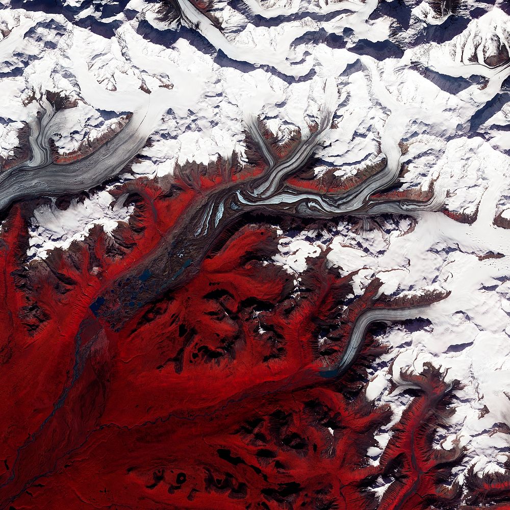 Like rivers of liquid water, glaciers flow downhill, with tributaries joining to form larger rivers. Original from NASA.…