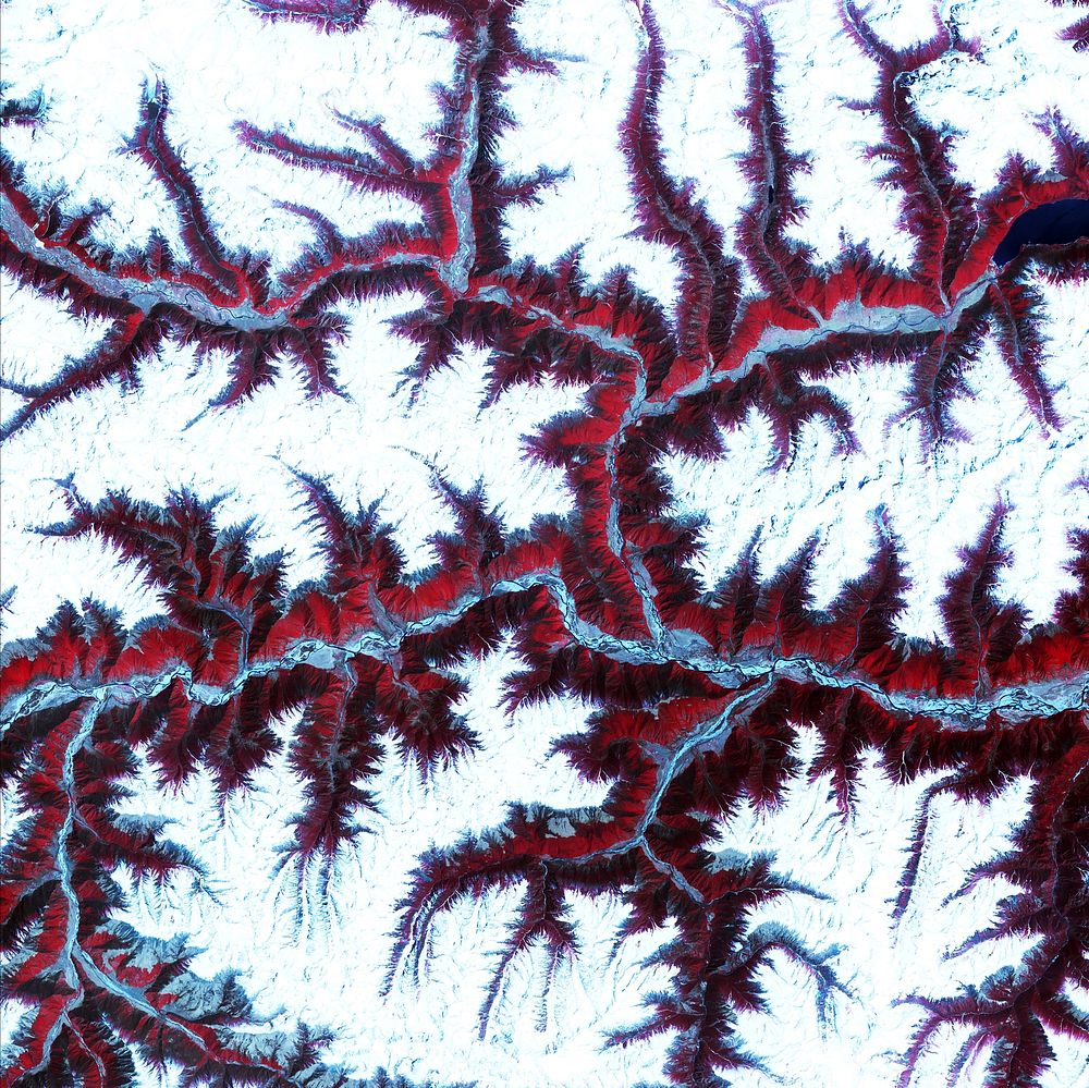 Snow-capped peaks and ridges of the eastern Himalaya Mountains. Original from NASA. Digitally enhanced by rawpixel.