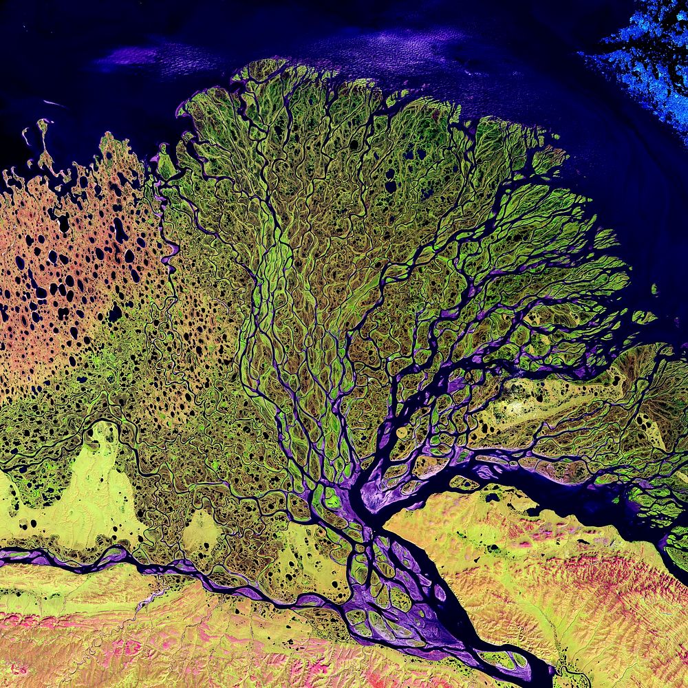 The Lena River, some 2,800 miles long, is one of the largest rivers in the world. Original from NASA. Digitally enhanced by…