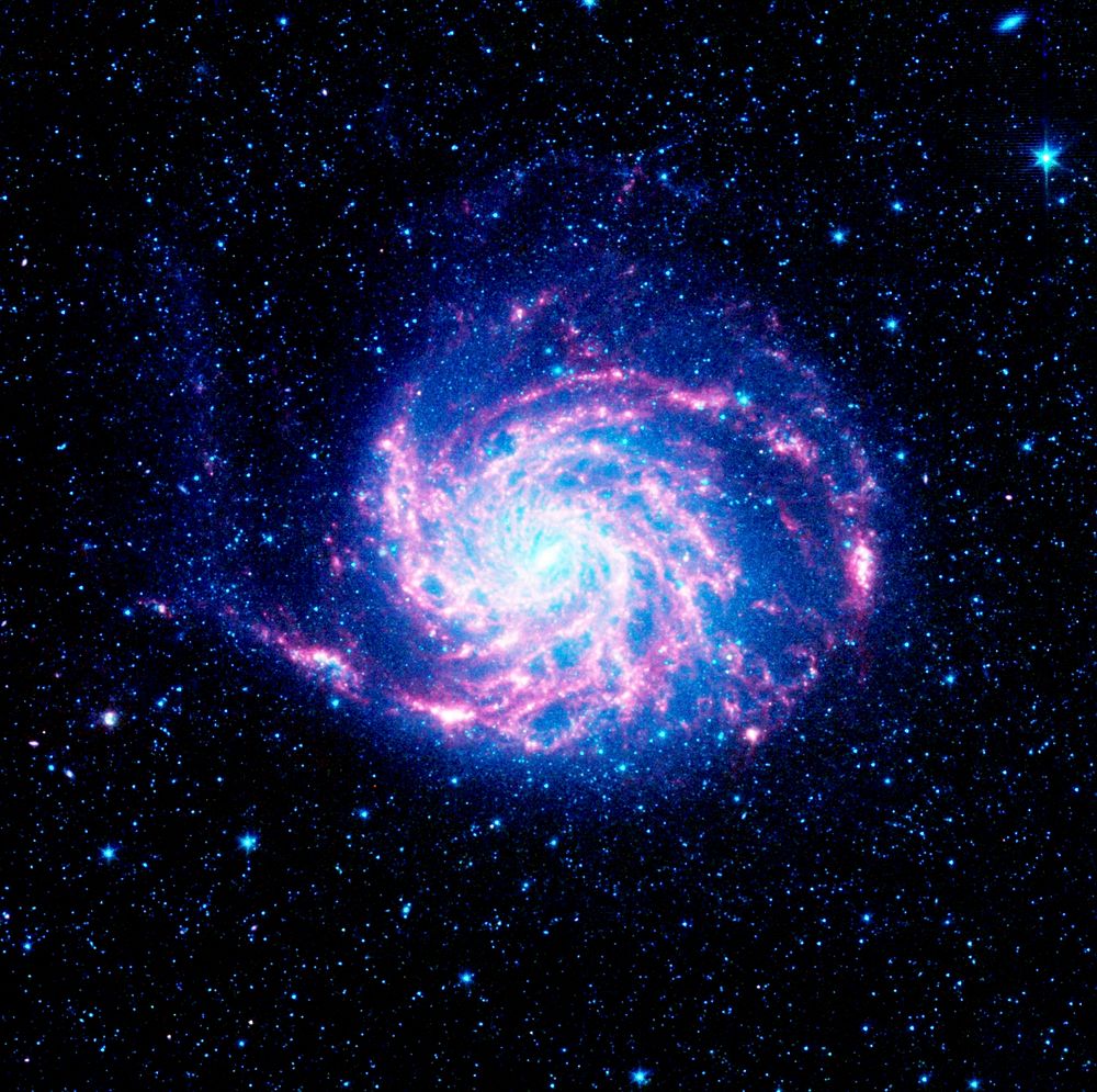 The tangled arms of the Pinwheel galaxy, otherwise known as Messier 101. Original from NASA. Digitally enhanced by rawpixel.