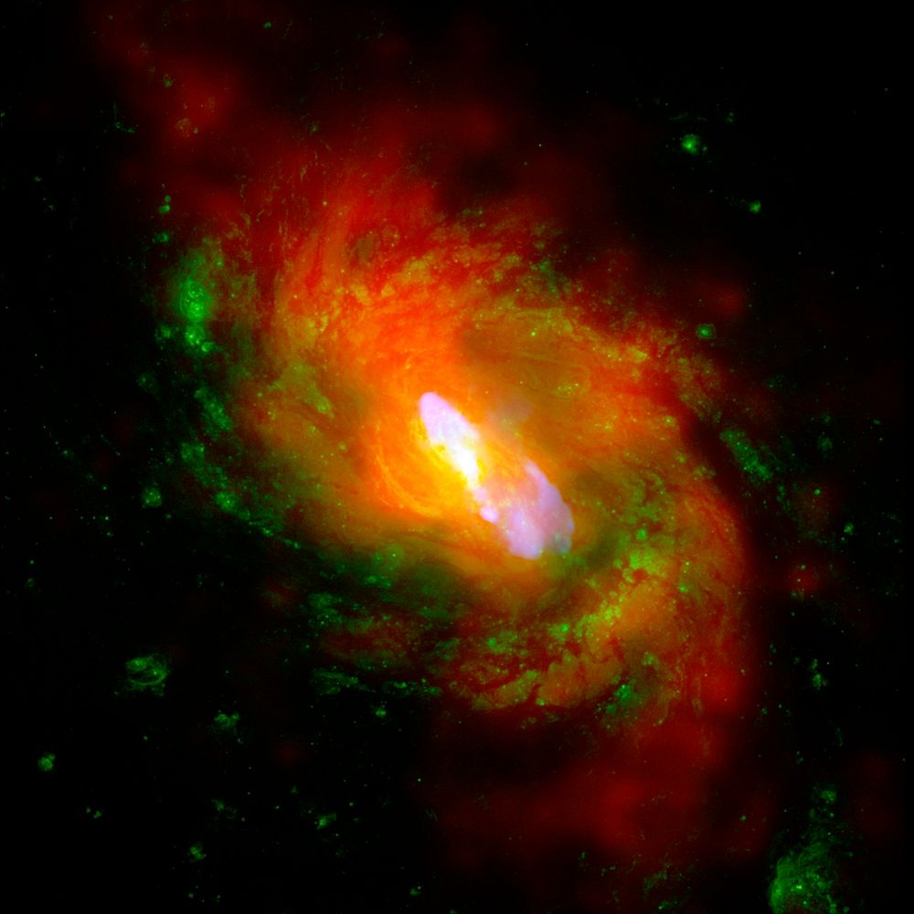 This is a composite image of NGC 1068, one of the nearest and brightest galaxies containing a rapidly growing supermassive…