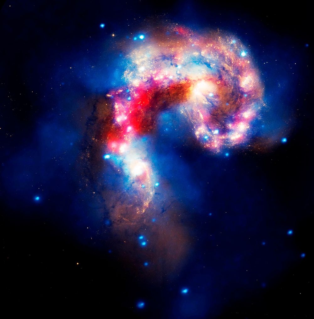 The Antennae galaxies are shown in this composite image from the Chandra X-ray Observatory, the Hubble Space Telescope, and…