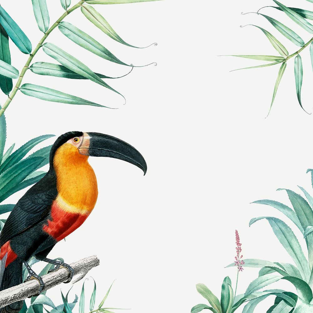 Frame with tropical vintage illustration