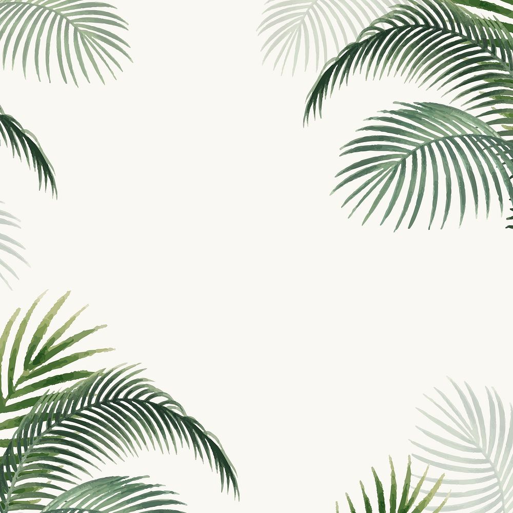 Frame with palm leaves vintage illustration