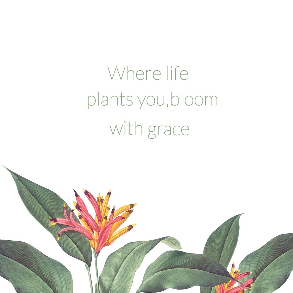 Where life plants you, bloom with grace tropical vintage illustration