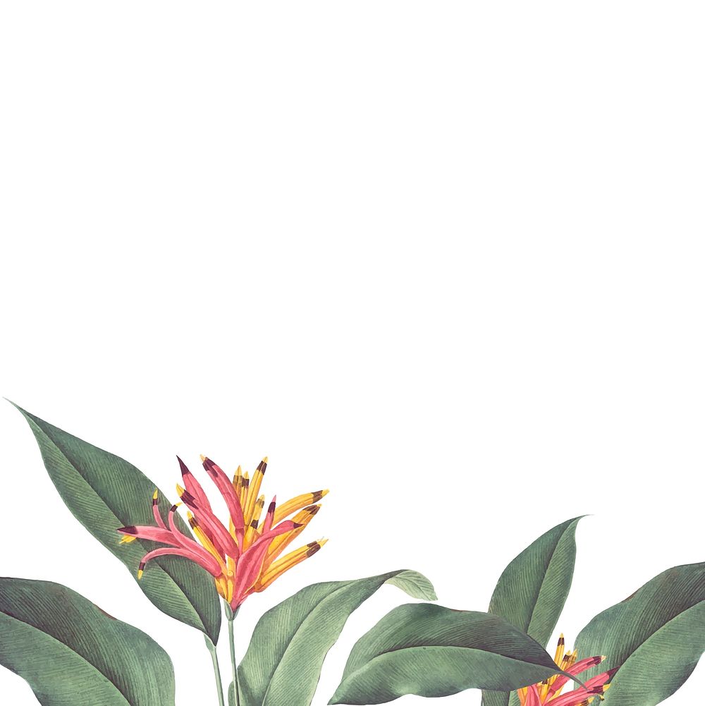 Border with a tropical vintage illustration