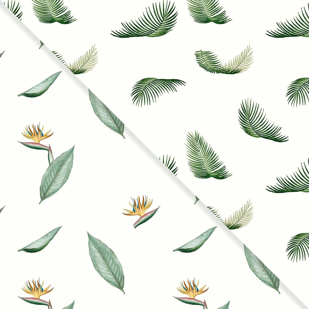 Tropical palm leaves vintage illustration