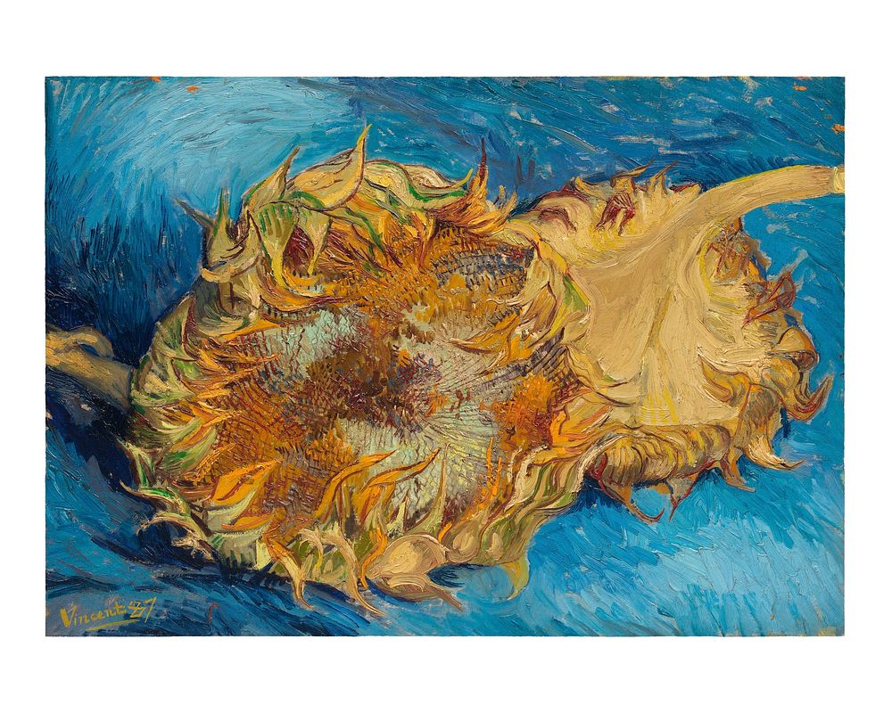 Sunflowers (1887) by Vincent van Gogh.