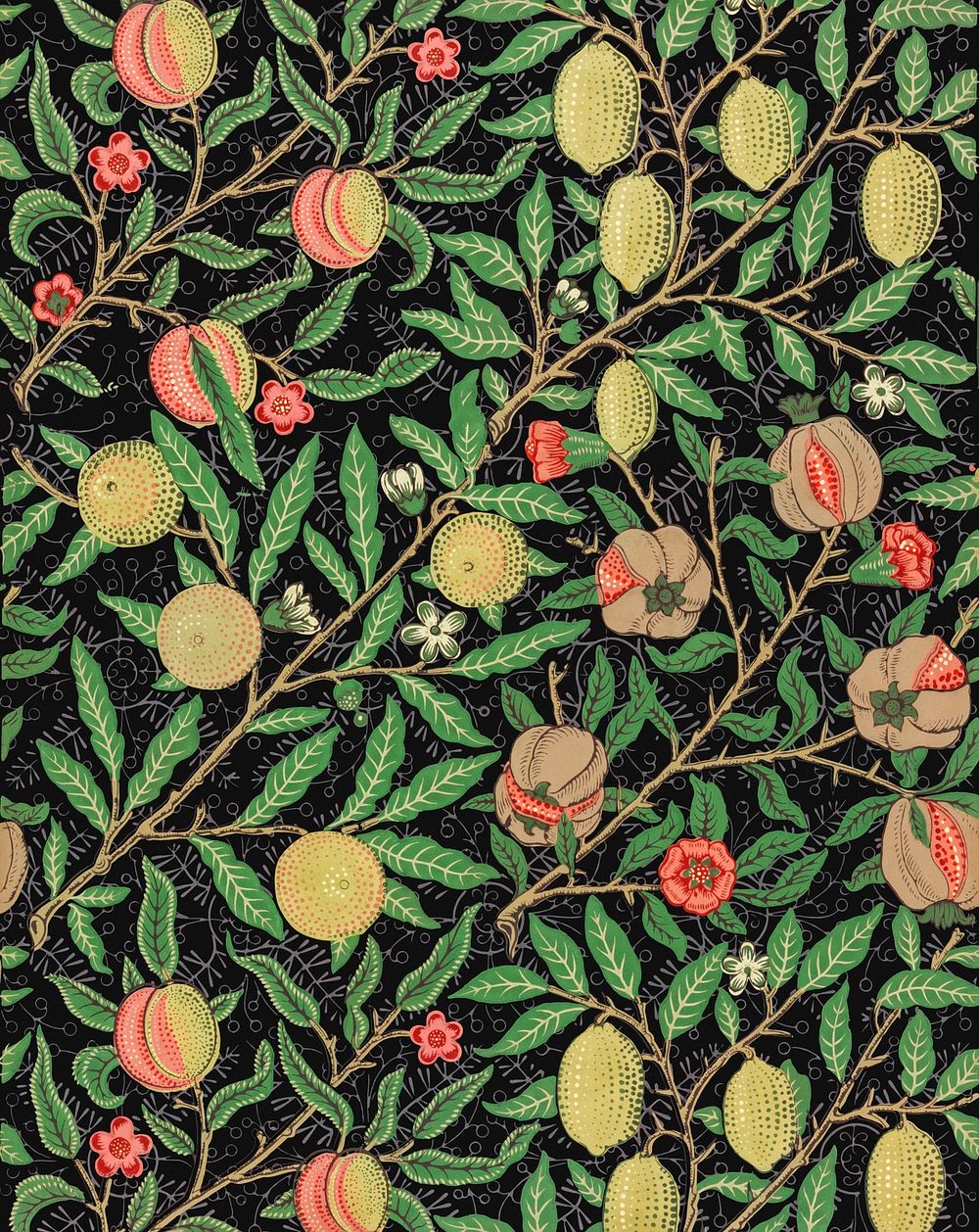 William Morris willow fruit background, food pattern, vintage illustration psd