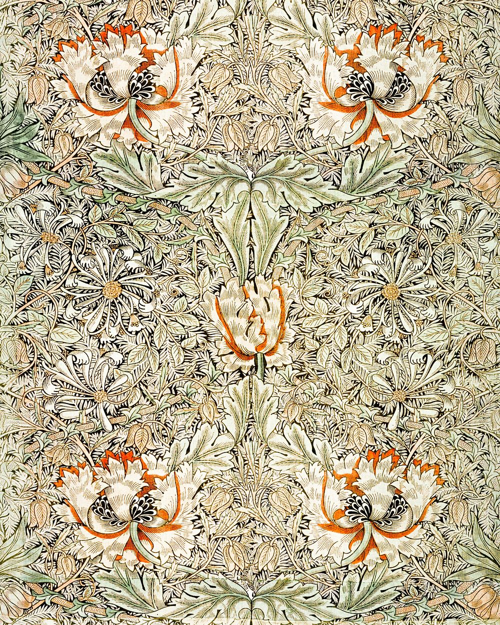 William Morris's Honeysuckle (1876) famous pattern. Original from The Smithsonian Institution. Digitally enhanced by…