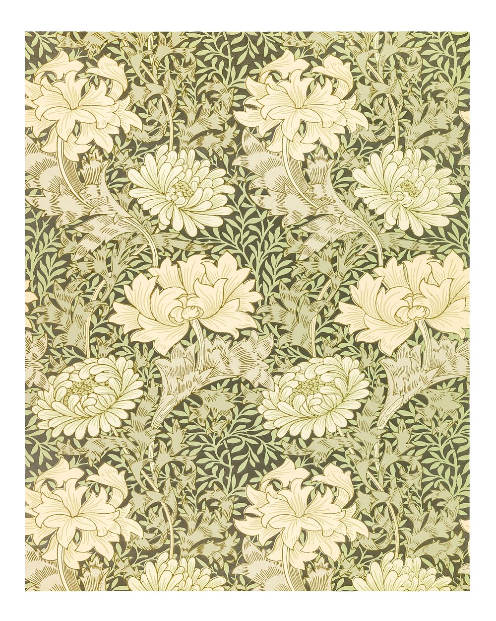 William Morris poster, vintage Chrysanthemum pattern wall decor (1877). Original from The Smithsonian Institution. Digitally…
