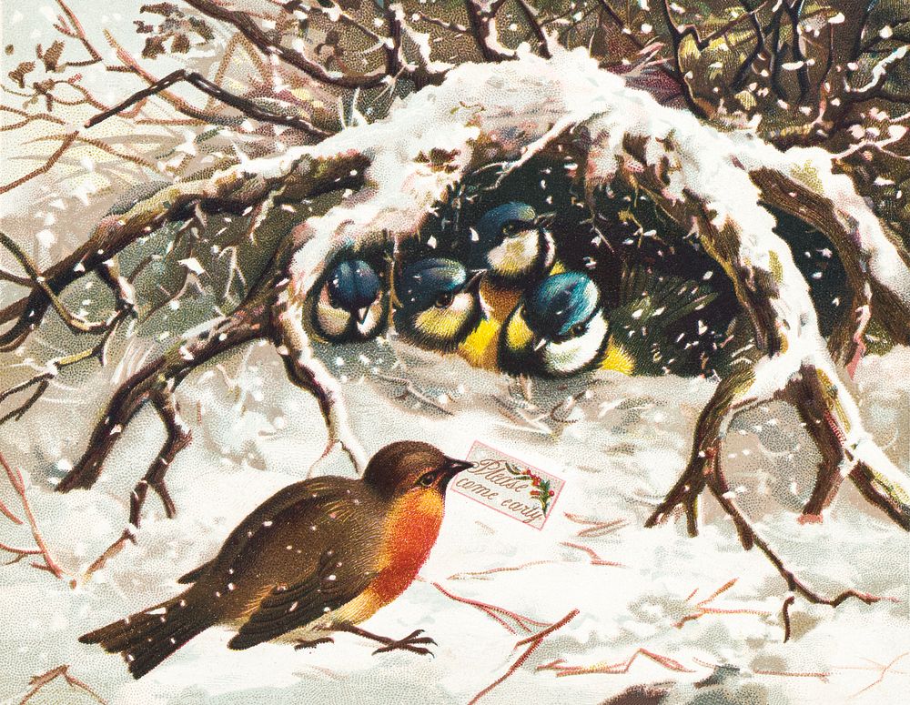 Vintage Christmas Postcard Depicting Birds in Snow (ca. 1800&ndash;1900). Original from The New York Public Library.…