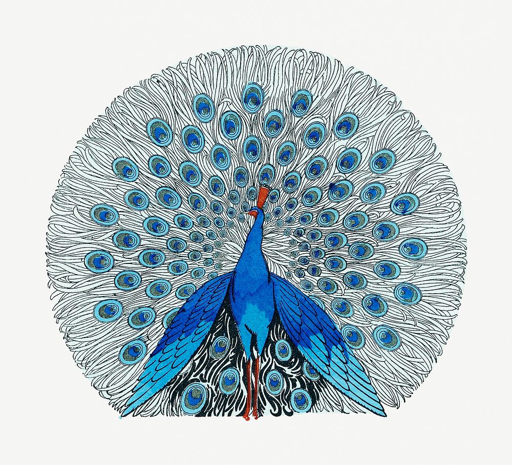 Peacock (1924) print in high resolution. Original from the Rijksmuseum. Digitally enhanced by rawpixel.