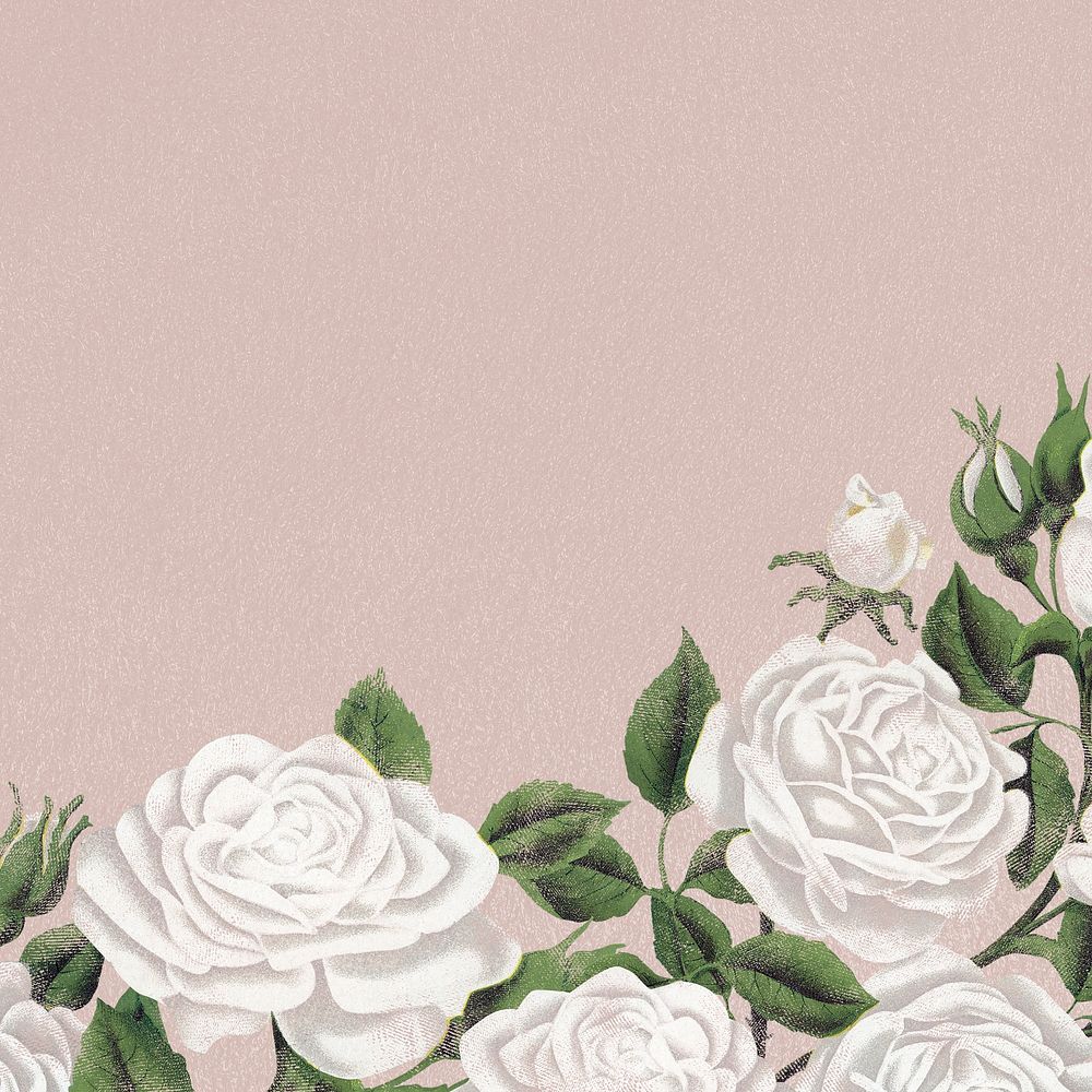 White rose border frame, botanical background for social media post psd