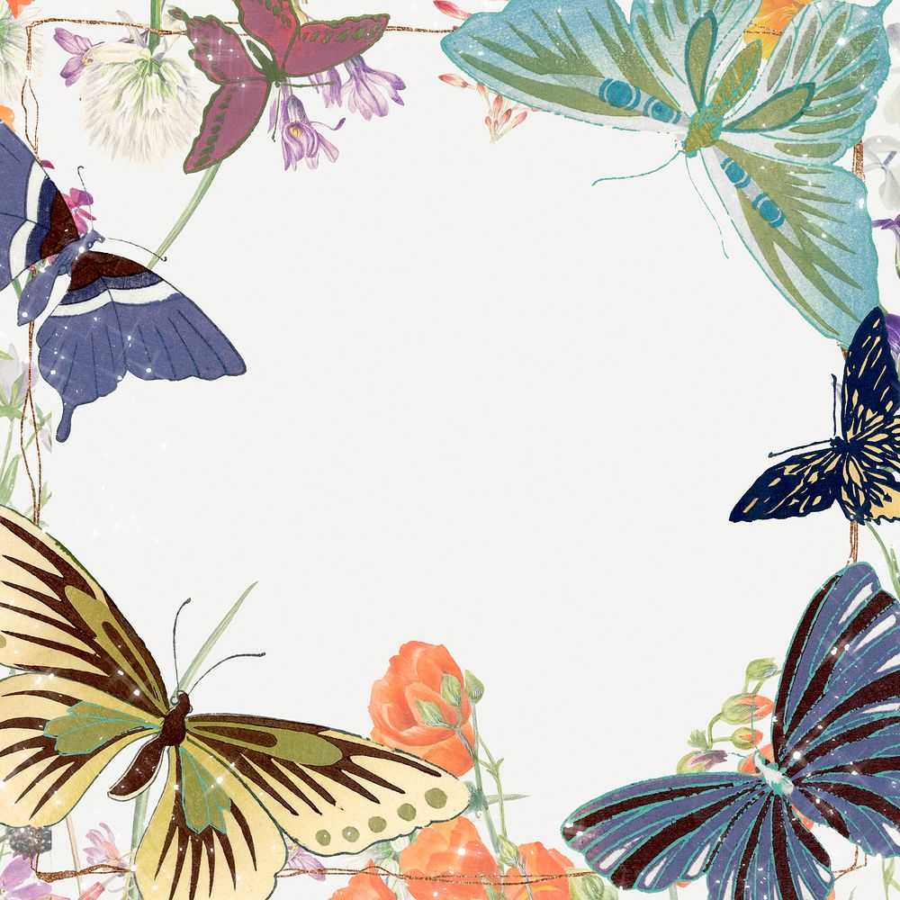 Floral butterfly frame, colorful vintage illustration psd