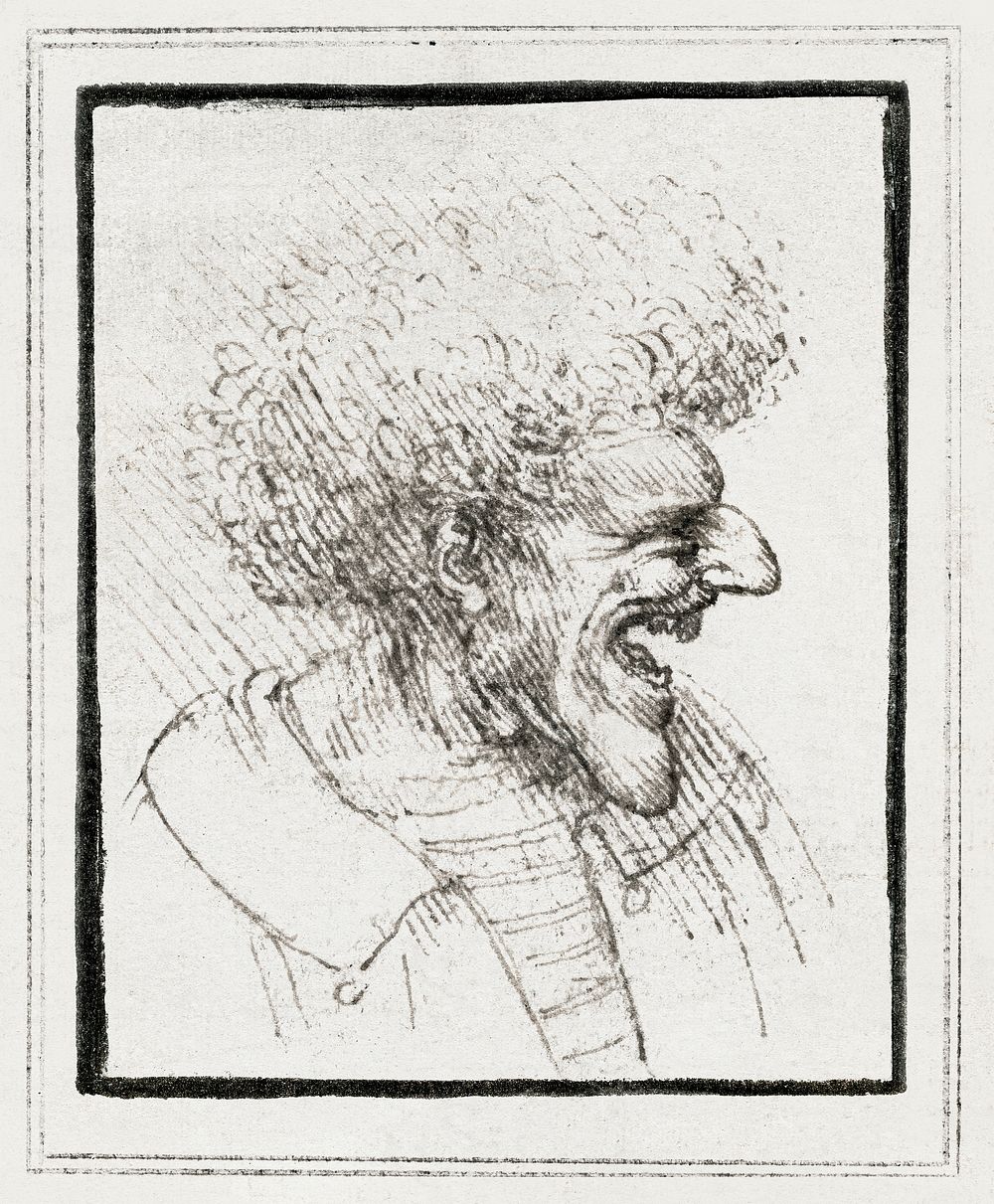 Caricature of a Man with Bushy Hair (ca. 1495) drawing in high resolution by Leonardo da Vinci. Original from The Getty.…