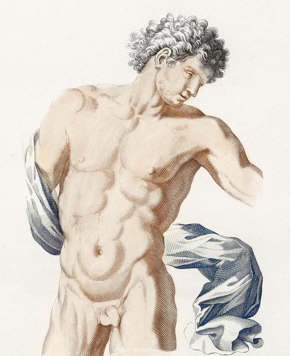 Naked man posing sexually. Torso van een naakte man met gewaad over een arm (1688 - 1698) by anonymous. Original from The…