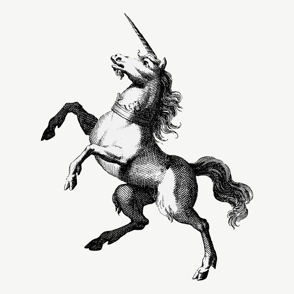 Vintage unicorn engraving illustration vector