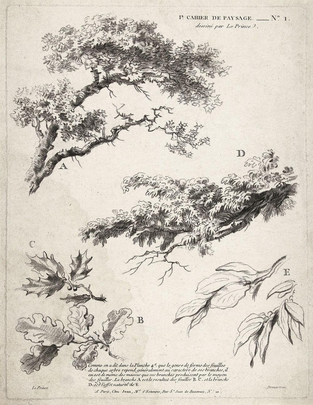 Studie van takken met bladeren (ca. 1732&ndash;1776) in high resolution by Gilles Demarteau.Original from The Rijksmuseum.…