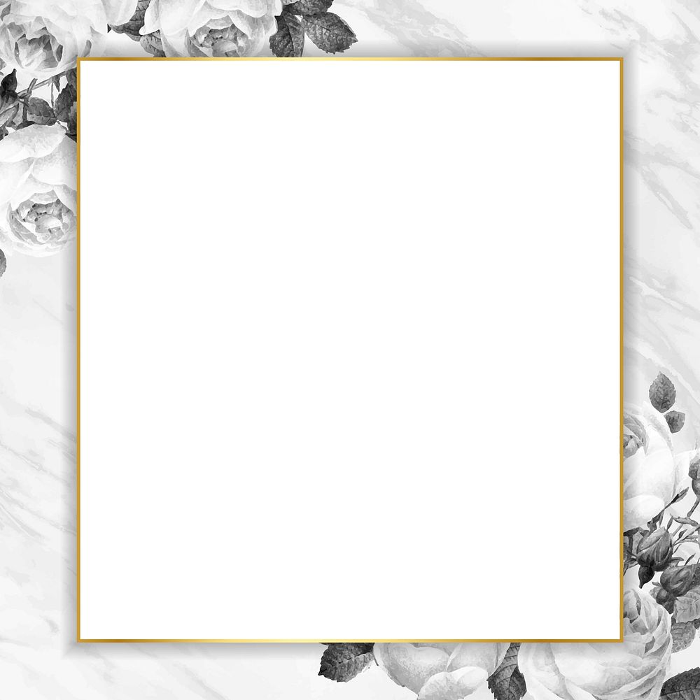 Blank golden square frame vector