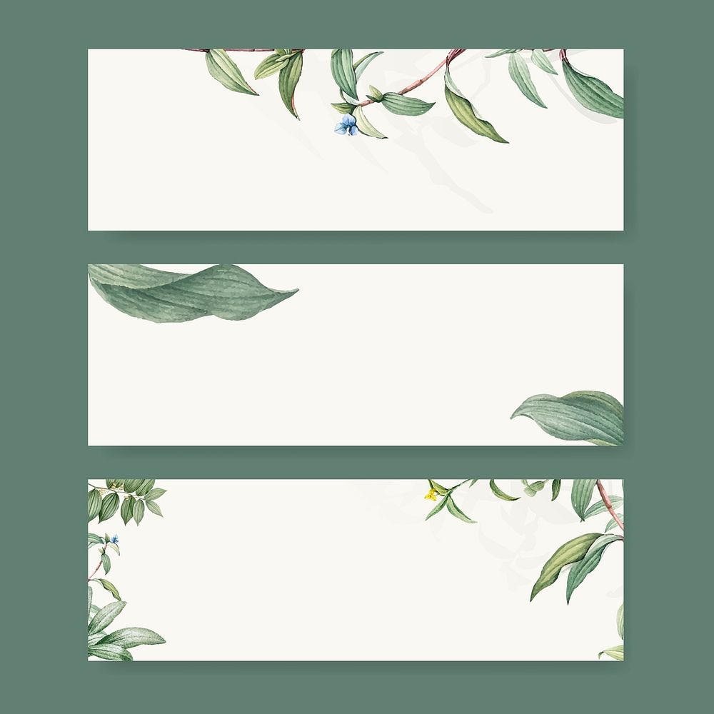 Green botanical leaves background design