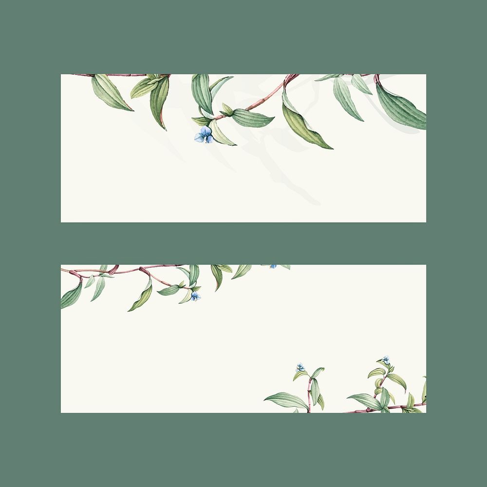 Set of botanical background designs
