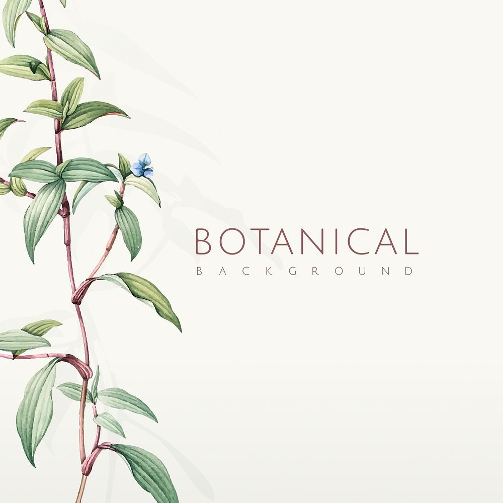 White empty botanical background design