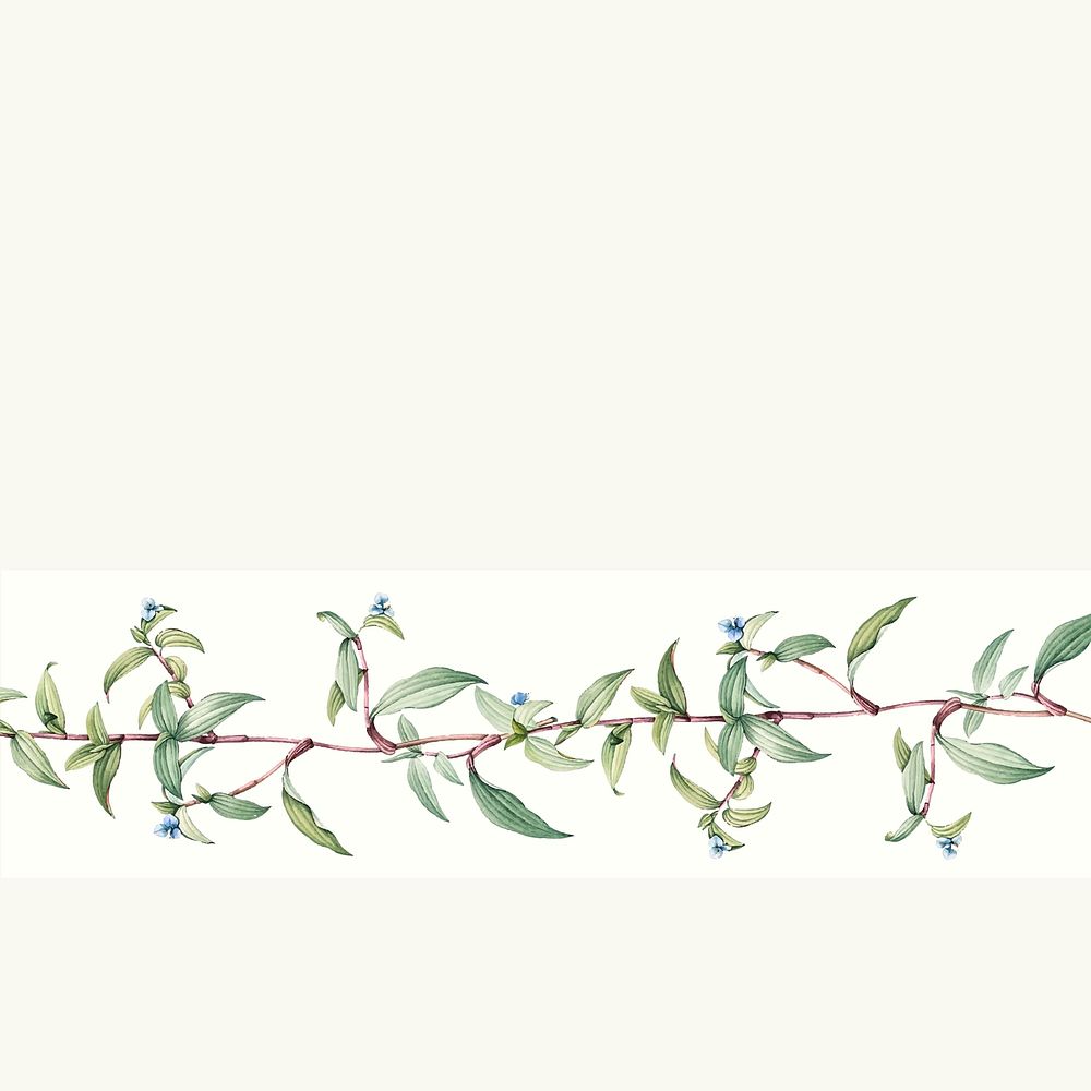 White empty botanical background design