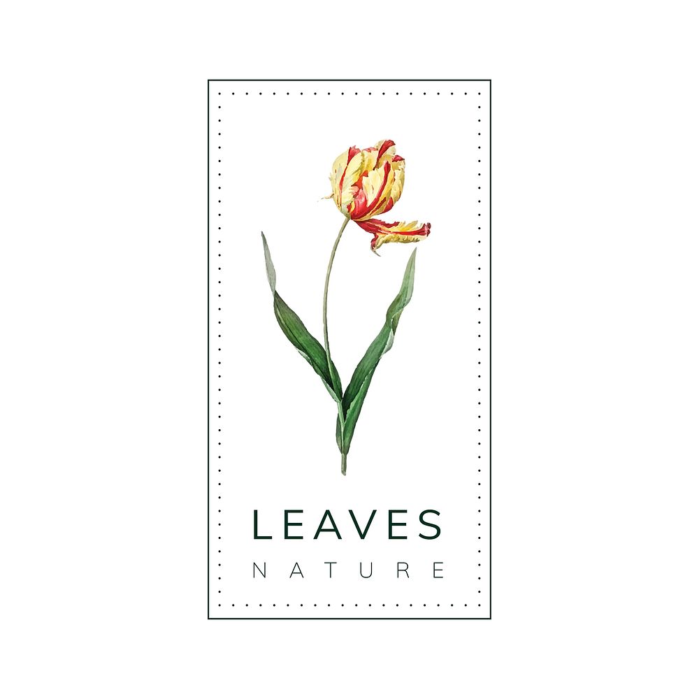 Leaves nature logo design vector