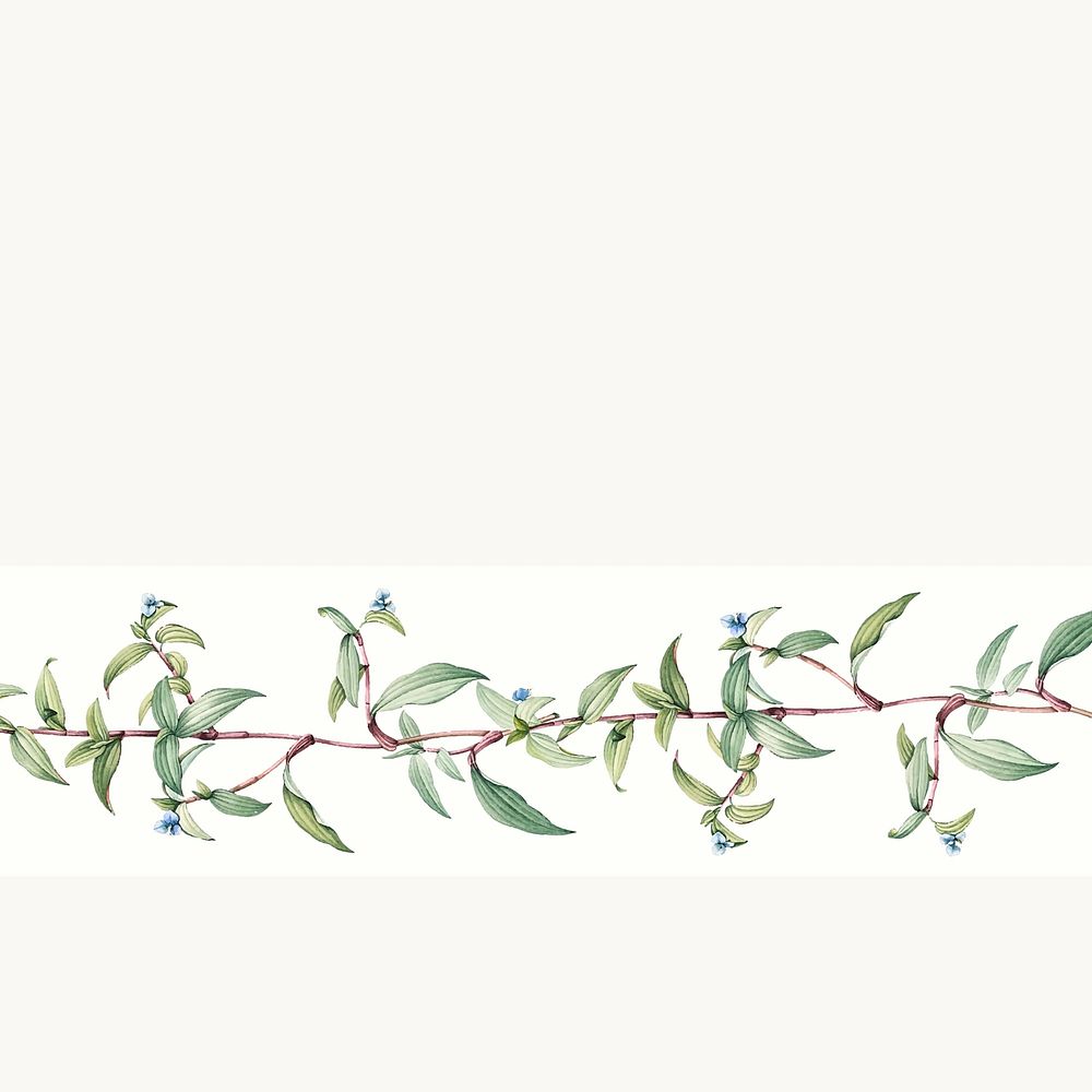 Empty botanical background design vector