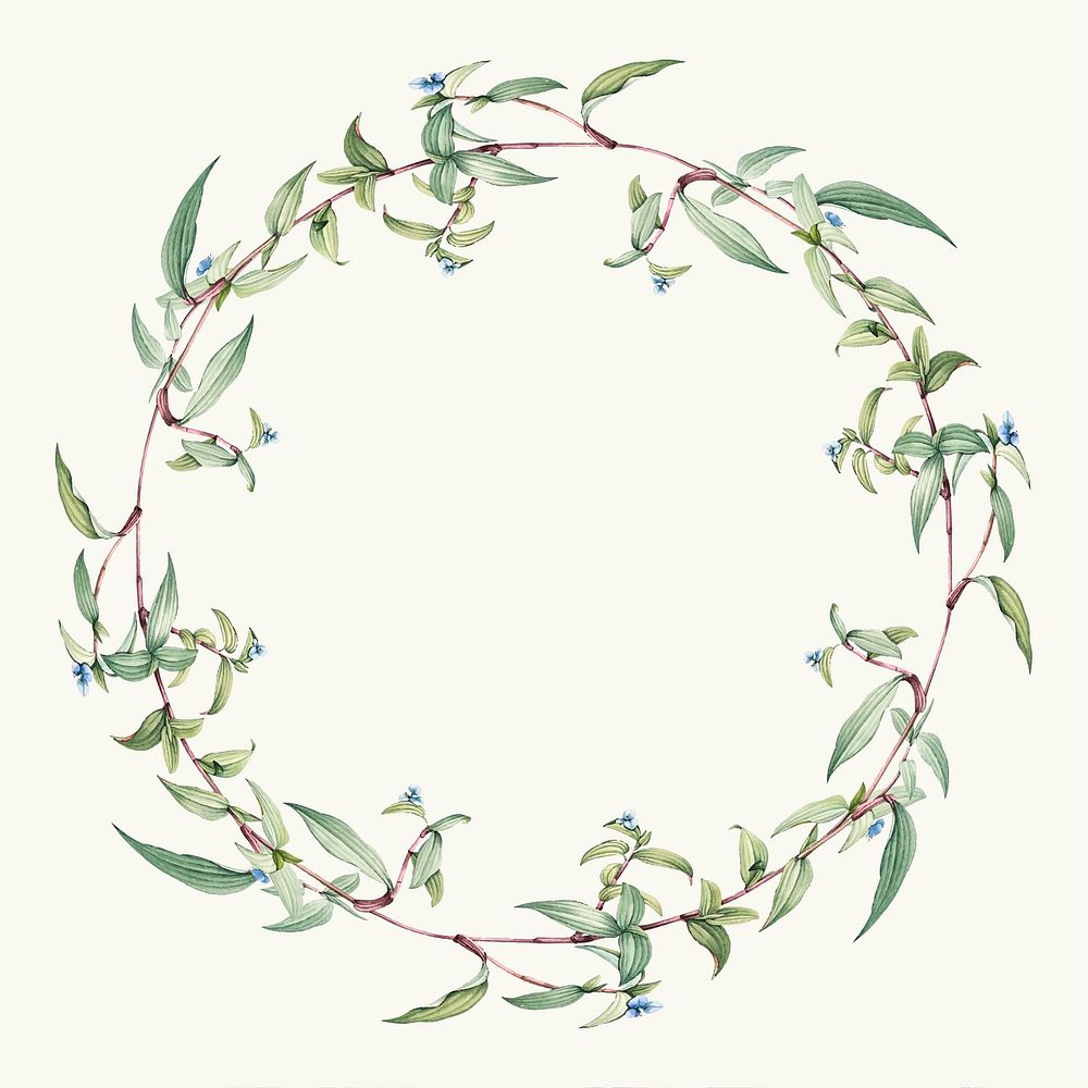 Botanical green leaf wreath design