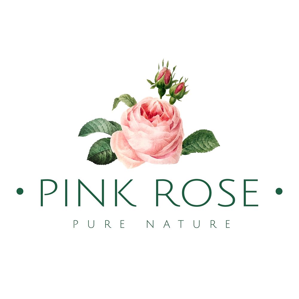 Hand drawn pink rose emblem vector