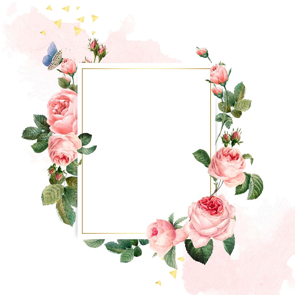 Blank rectangle pink roses frame on  pink and white background vector