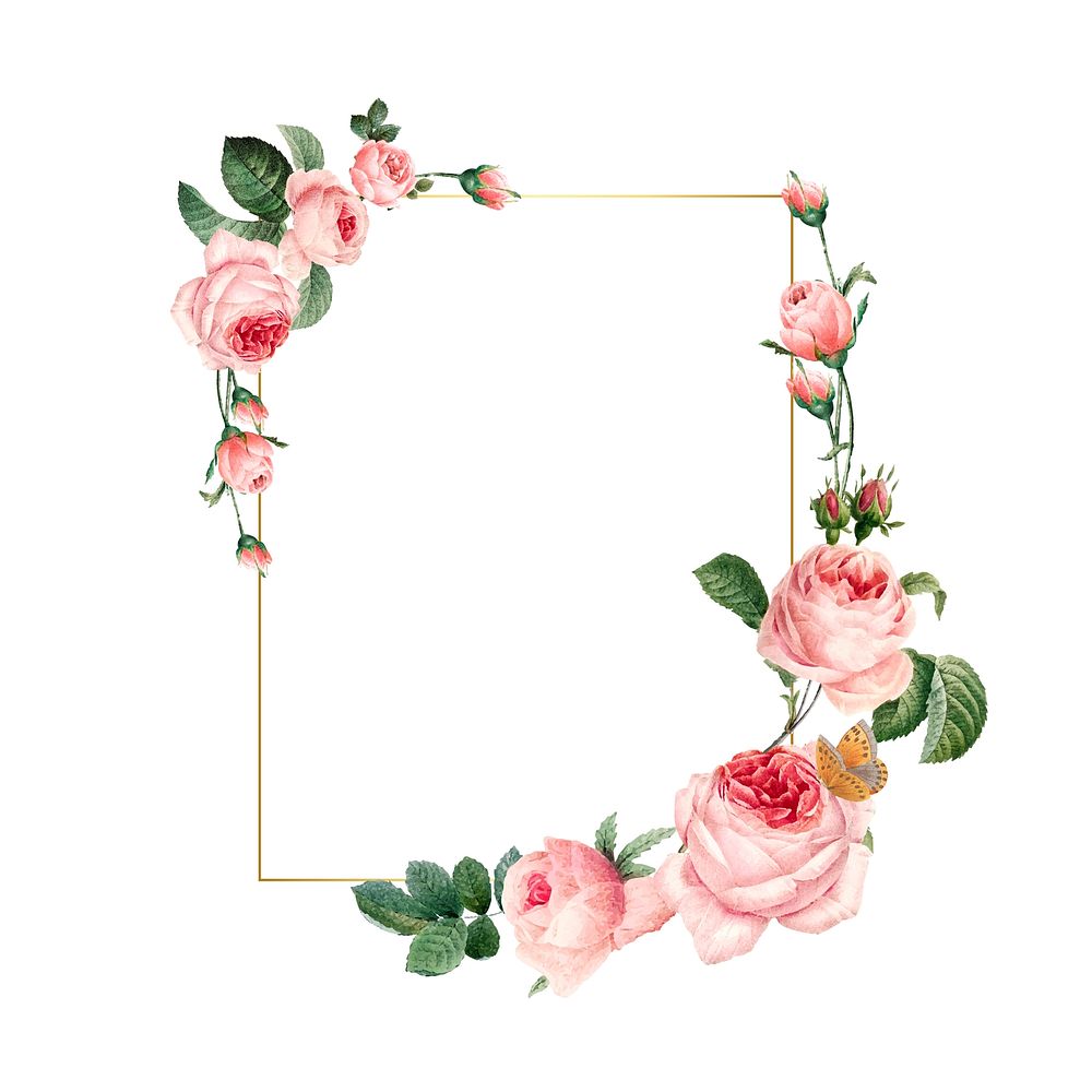 Blank rectangle pink roses frame on white background vector