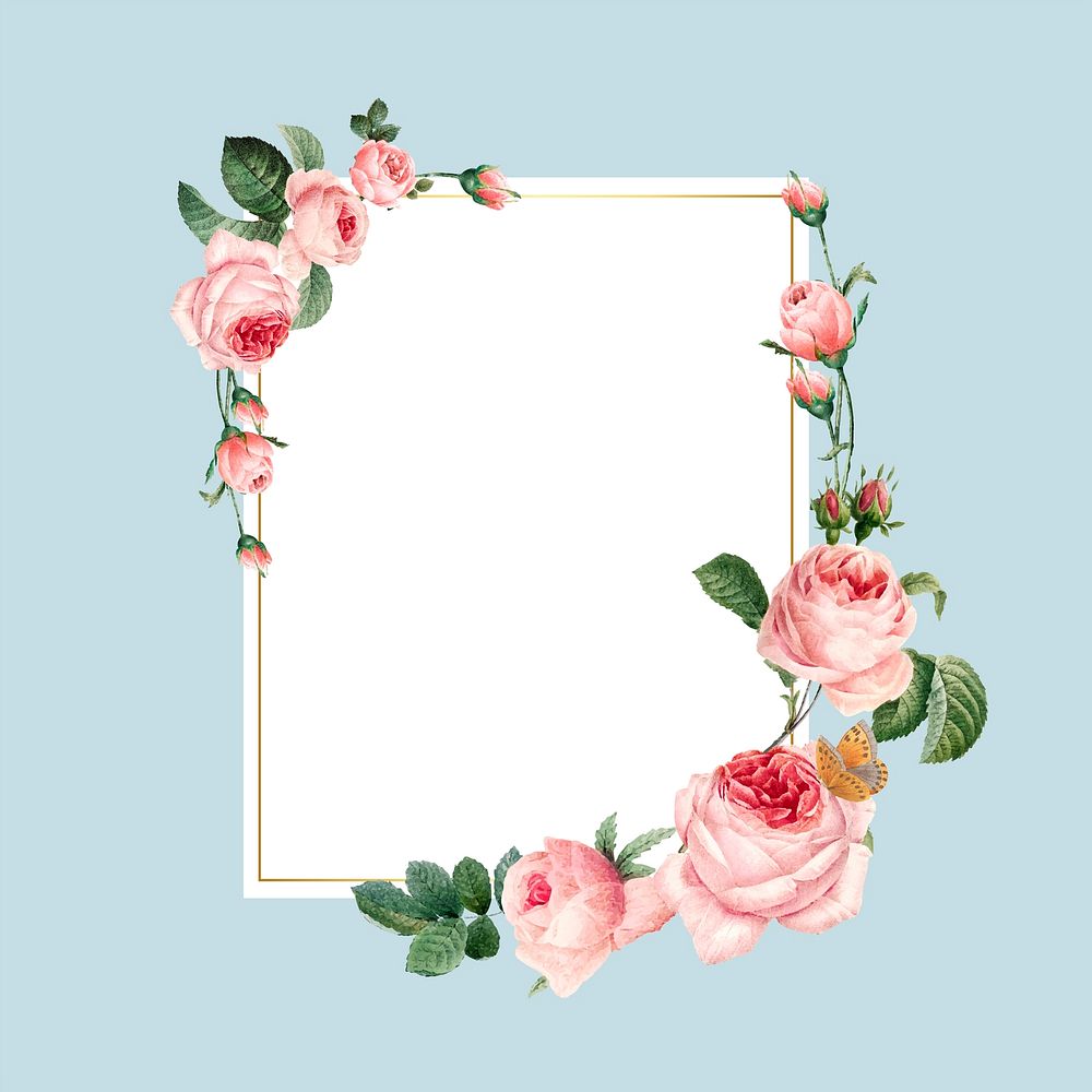 Blank rectangle pink roses frame on blue background vector