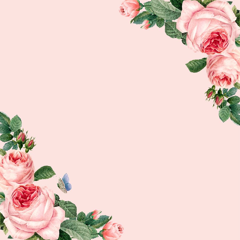 Hand drawn pink roses frame on pastel pink background vector