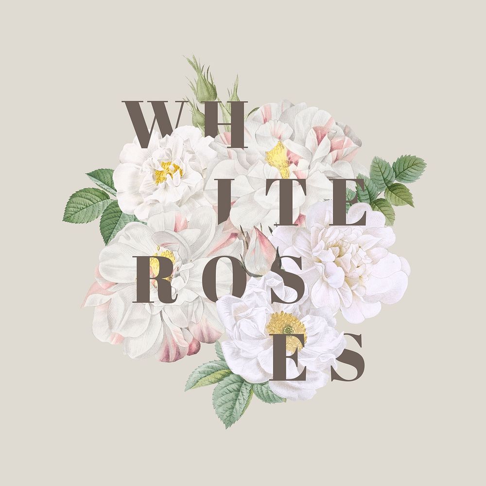 Blooming white roses design element illustration