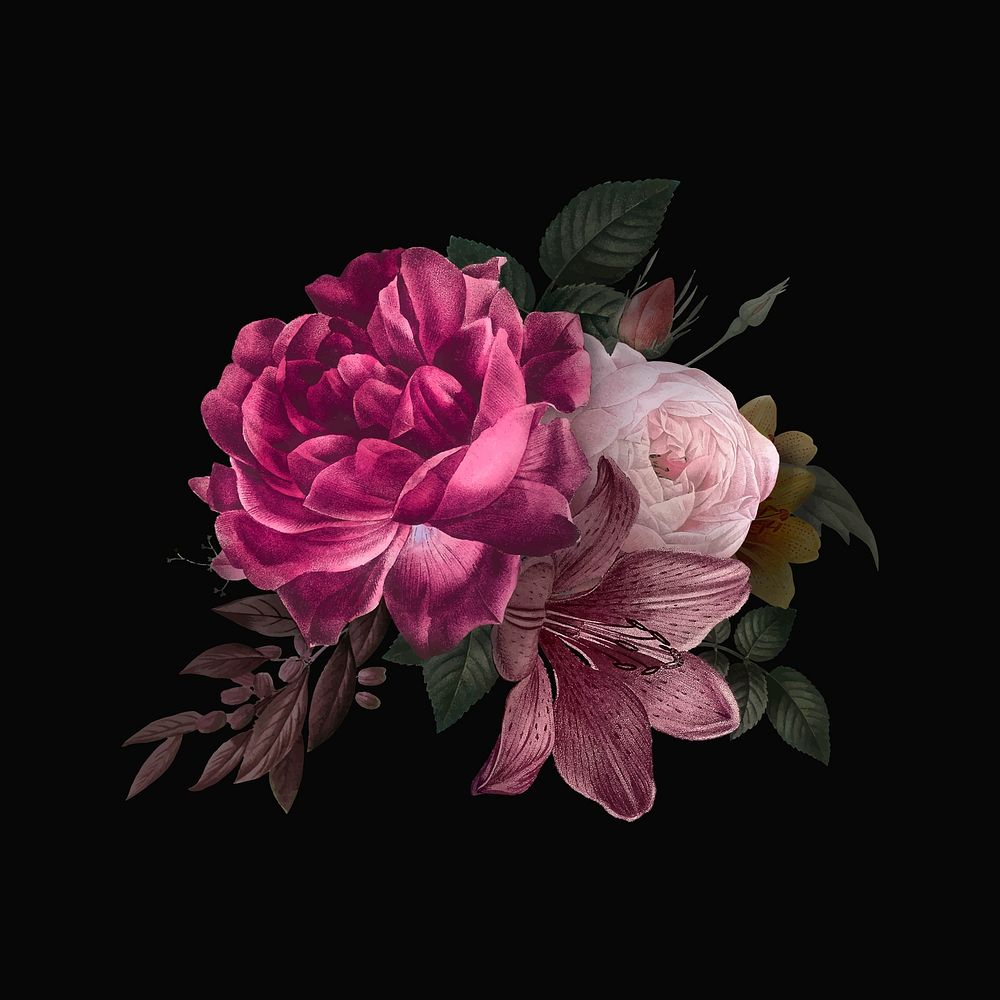 Beautiful hand drawn pink roses vector