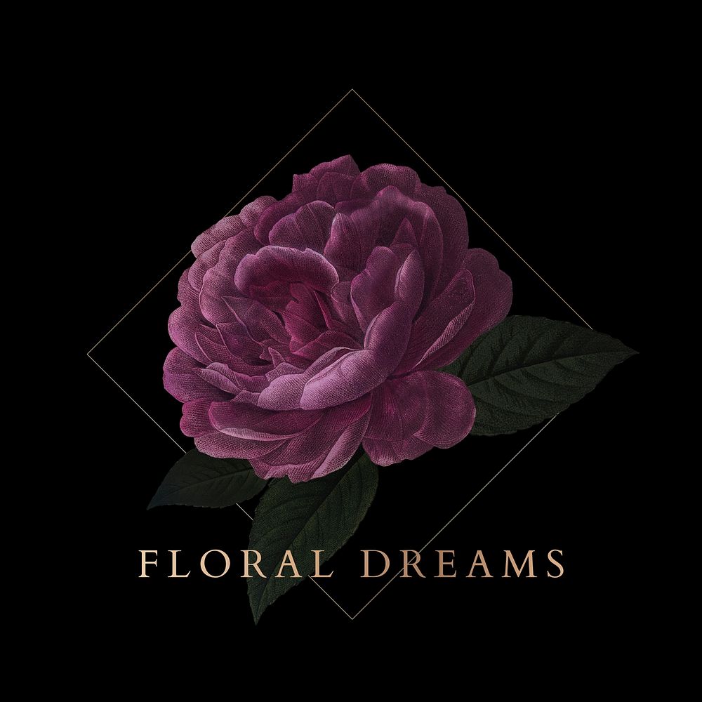 Romantic floral dreams rose drawing