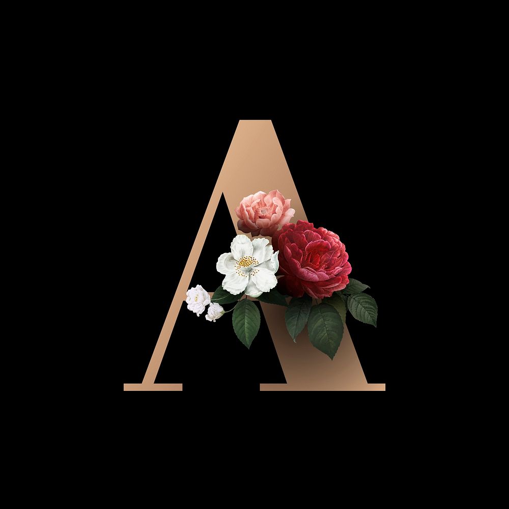 Classic and elegant floral alphabet font letter A vector