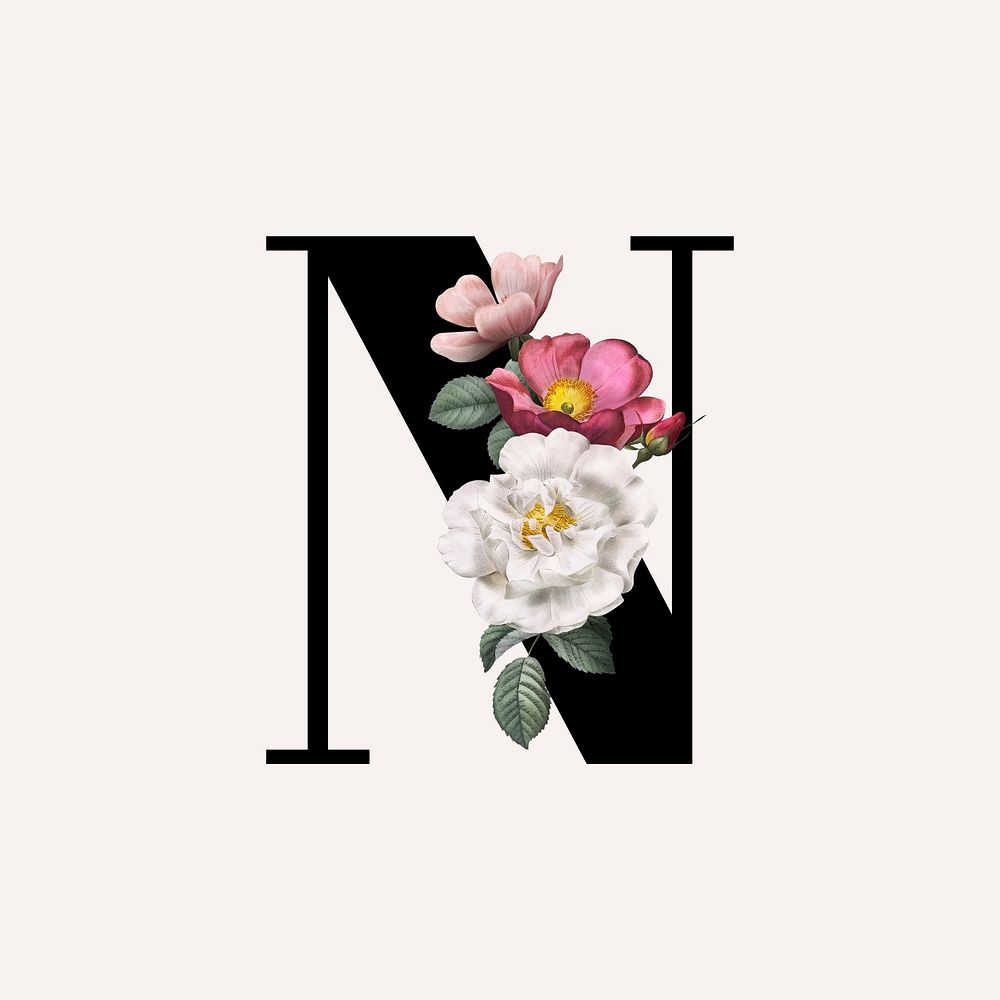 Classic and elegant floral alphabet font letter N