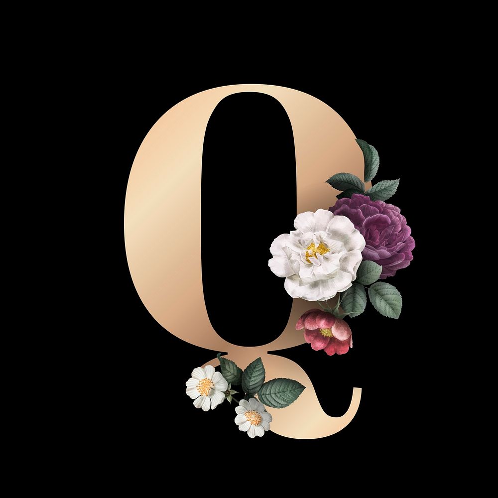 Classic and elegant floral alphabet font letter Q vector